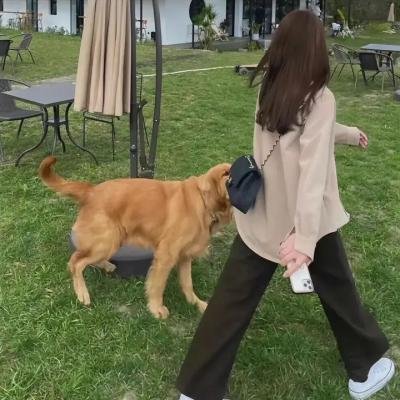 断肢女孩的来信
